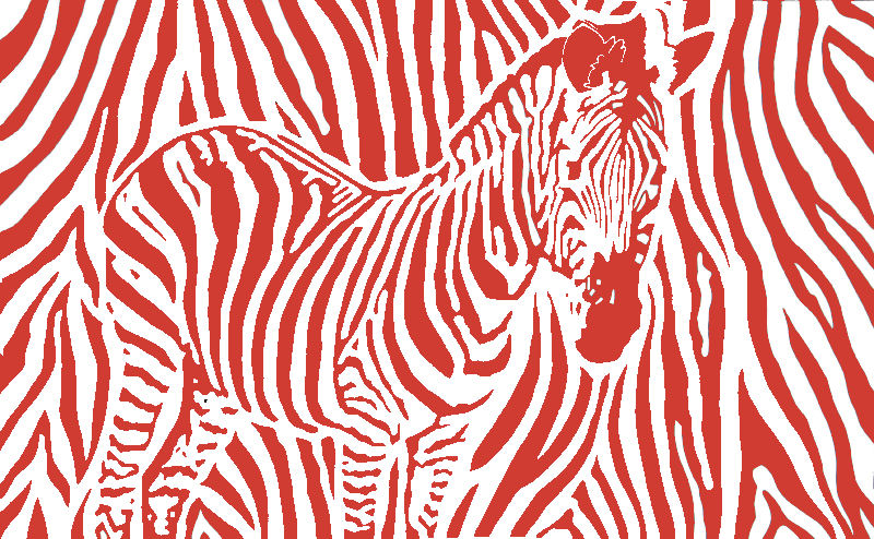 zebre rouge